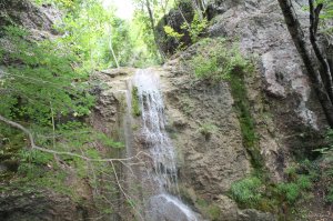 IMG_1411.JPG