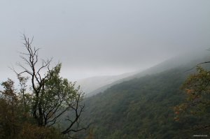 IMG_1418.JPG