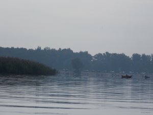 DSCN1617.JPG