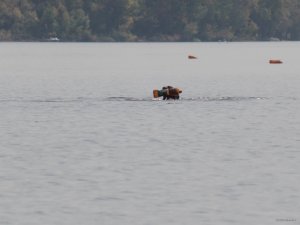 DSCN1633.JPG