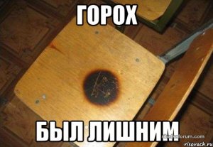 cibiryak_13590792_orig_.jpeg