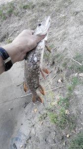 2014904182950.jpg