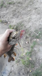 2014904182955.jpg