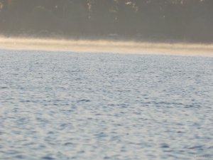 DSCN1677.JPG