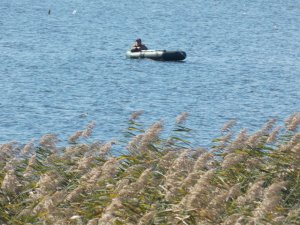 DSCN1710.JPG