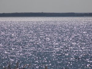 DSCN1711.JPG