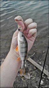 2014921141535.jpg