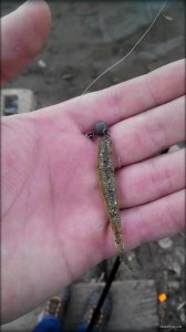 2014921141654.jpg