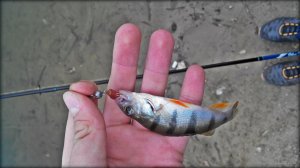 2014921160324.jpg