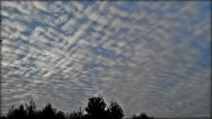 2014921180435.jpg