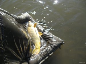 IMG_8853.JPG