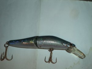 DSC01645.JPG