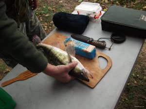 DSCF1633.jpg