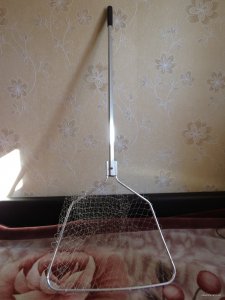 IMG_2959.JPG