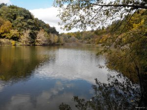 20141005133511.jpg
