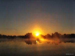 IMG_3281.JPG