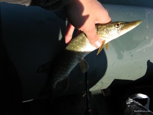 IMG_3283.JPG