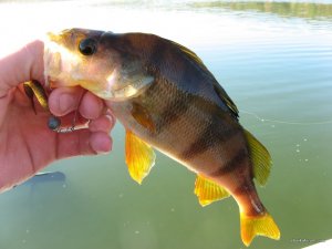 IMG_3284.JPG