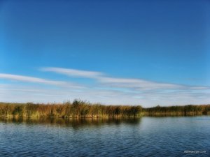 IMG_3291.JPG