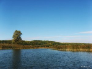 IMG_3293.JPG
