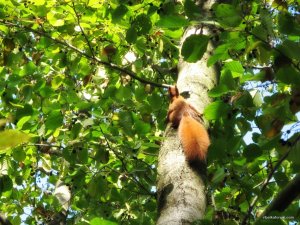 IMG_3300.JPG