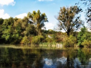IMG_3319.JPG