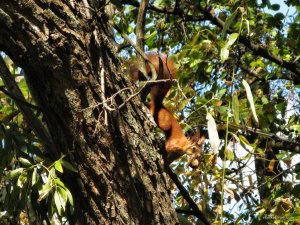 IMG_3299.JPG