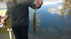 WP_20141005_003.jpg