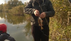 WP_20141005_009.jpg