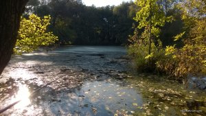 WP_20140928_040.jpg