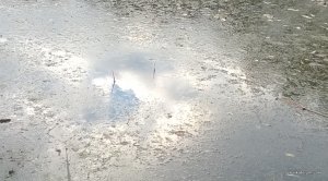 WP_20141005_016.jpg