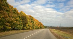 WP_20140929_005.jpg