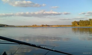 IMG_20141004_170212.jpg