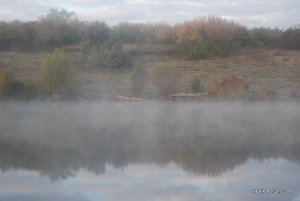 fog.jpg