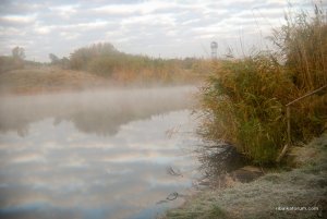 fog2.jpg