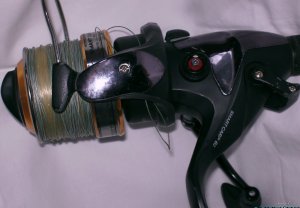 IMG_0132.JPG
