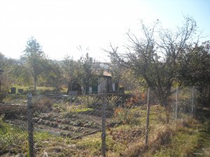 DSCN0072.JPG