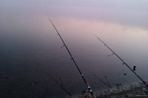 IMAG0782.jpg