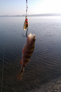 IMAG0783.jpg