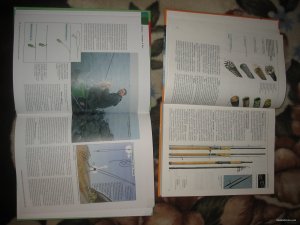 IMG_7901.JPG