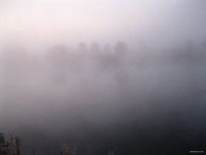 IMG_2421.jpg