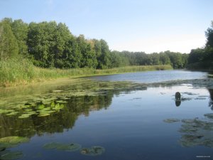 IMG_2414.jpg