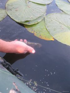 IMG_2417.jpg