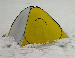 321.JPG