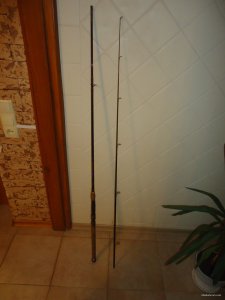 DSC00186.JPG