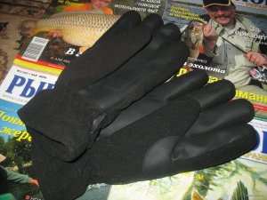 IMG_8022.JPG