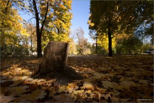 IMG_6784 копия1.jpg