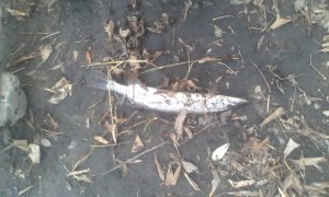 IMG_20141028_151713.jpg