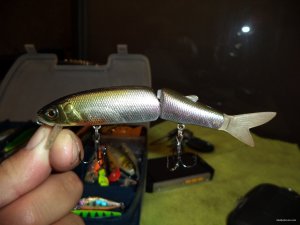 DSC01995.JPG