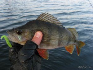 IMG_3419.JPG